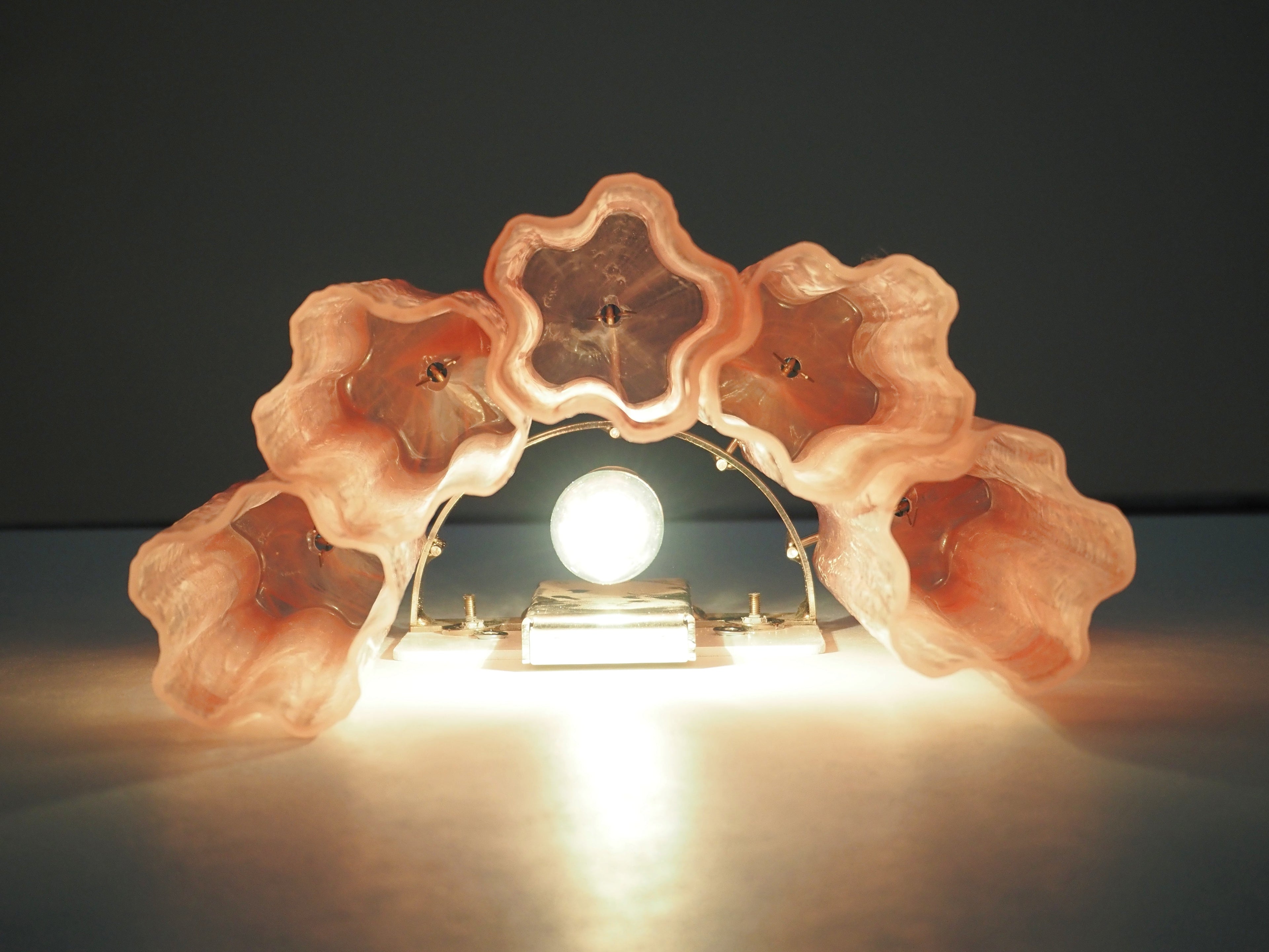 Murano Wall Lamp | 5 Pink Alabaster Glass Tubes | Set of 2