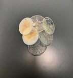 Murano Wall Lamp | 6 Iris Disc Glass | Set of 2