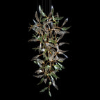 Pink Silver Leaf Vine Chandelier