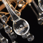 Iris Raindrop Clear Crystal Ring Branch Chandelier by Bling Lighting Studio