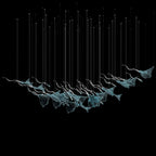White Manta Branch Chandelier