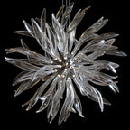 Smoke Palm Burst Chandelier