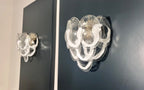 Murano Wall Lamp | 10 Clear Petal Glass | Set of 2