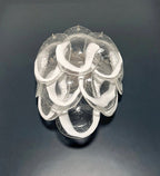 Murano Wall Lamp | 10 Clear Petal Glass | Set of 2