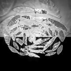 Aqua Glass Manta Orbit Chandelier