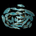 Aqua Glass Manta Orbit Chandelier