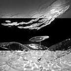 Aqua Glass Manta Orbit Chandelier