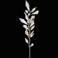 Foret 4 Light 20 inch Silver Sconce Wall Light by Bling Lighting Studio