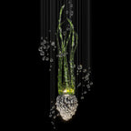 Green Sea Reed Chandelier