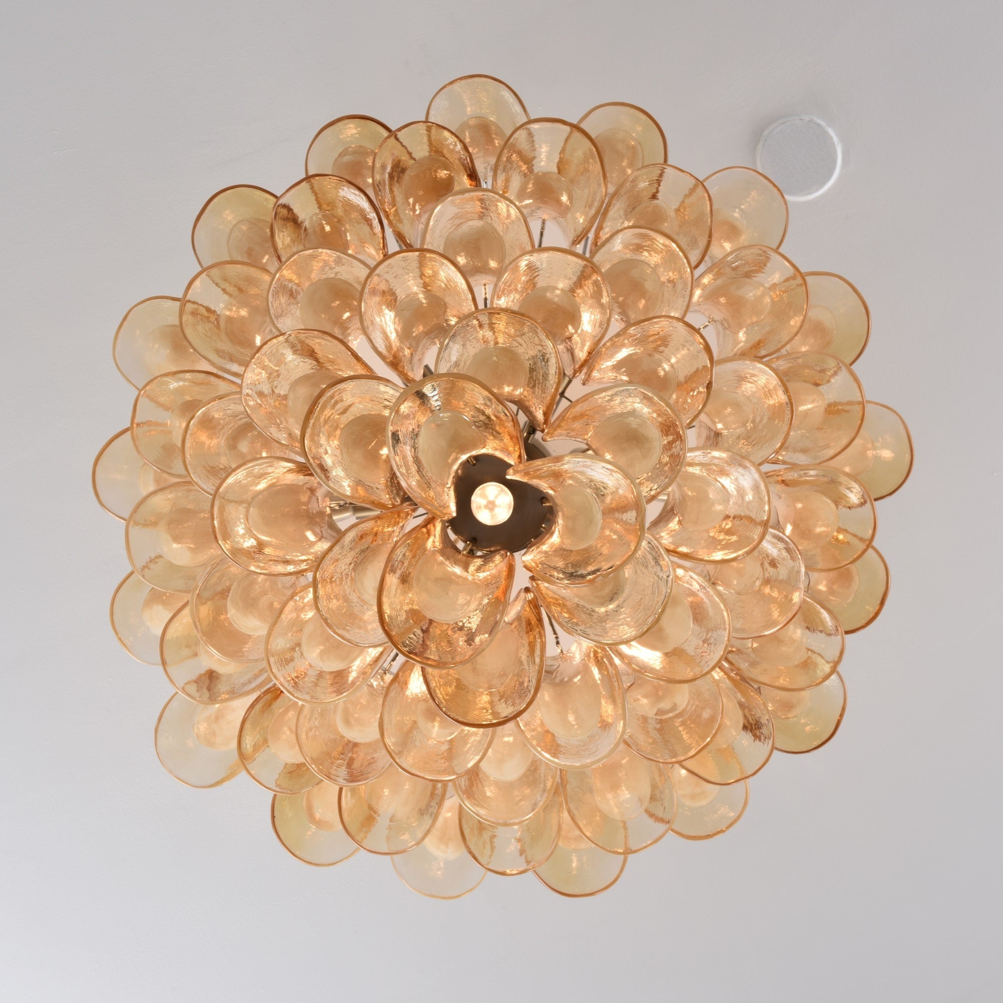 Amber Petal Glass Ceiling Lamp Glass lighting by Bling Lighting Studio