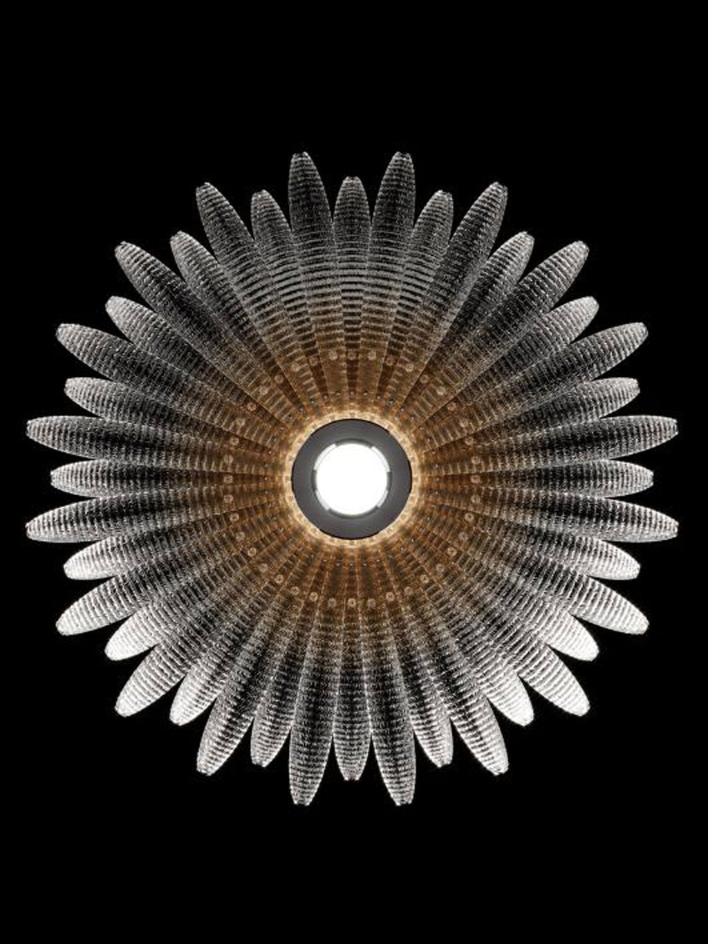 Aurelia Murano Glass Petal Ceiling Light