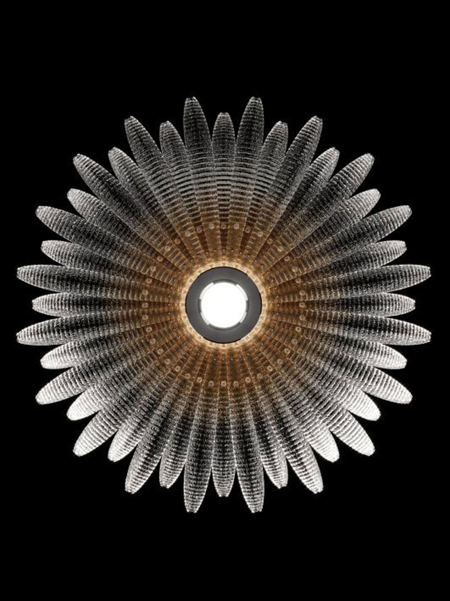 Aurelia Murano Glass Petal Ceiling Light