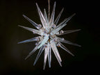 Murano Chandelier | 31 Clear Sputnik detail by Bling Lighting Studio
