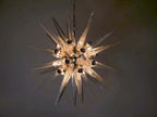 Murano Chandelier | 31 Clear Sputnik detail by Bling Lighting Studio