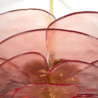 Petals Glass Chandelier Murano lighting by Bling Lighting Studio