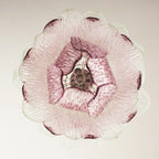 Vintage Murano Transparent Amethyst Glass Chandelier product image