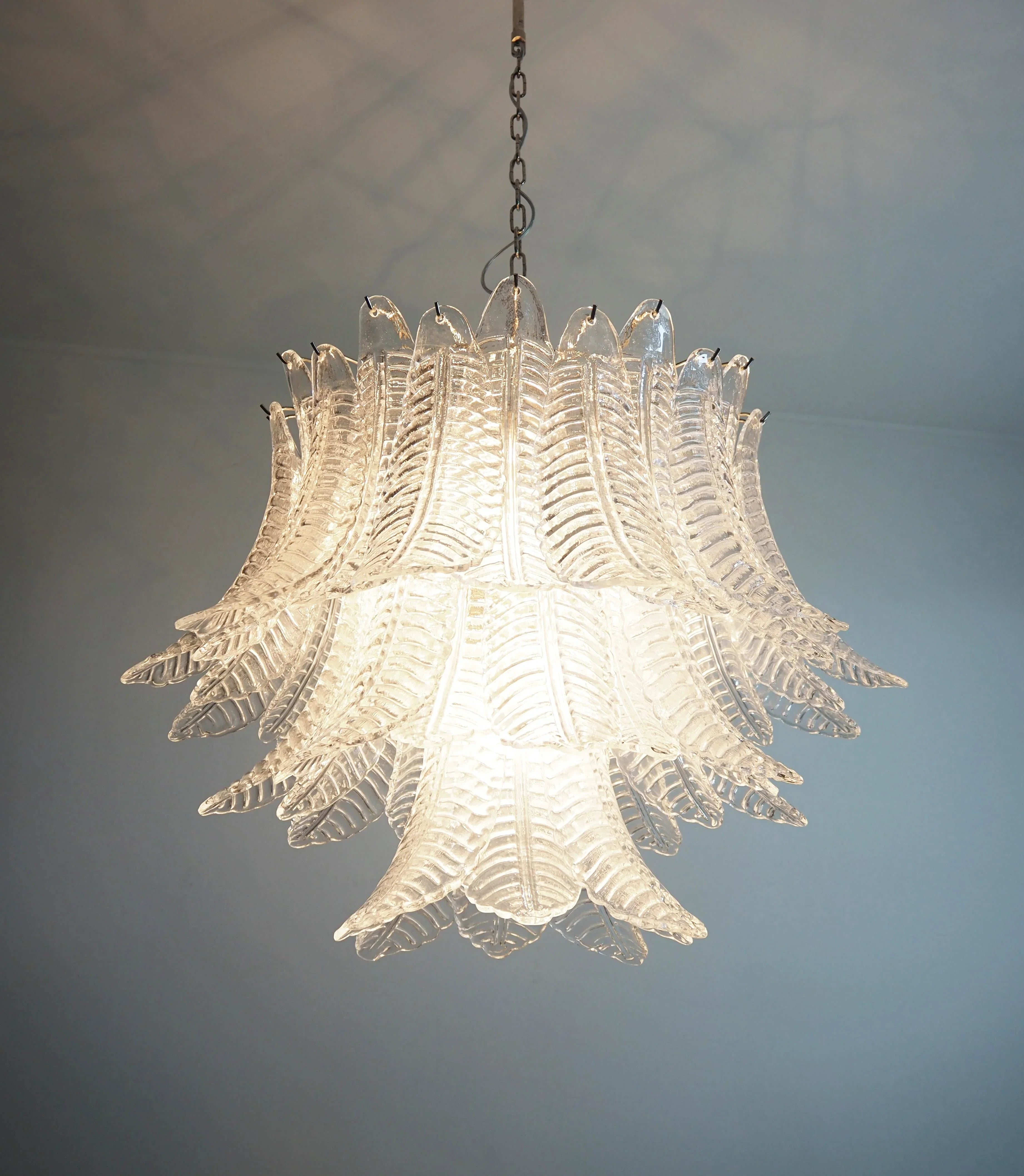 Murano Transparent Ferns Glass Chandelier product image