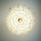 Murano Transparent Glass Petal Chandelier product image