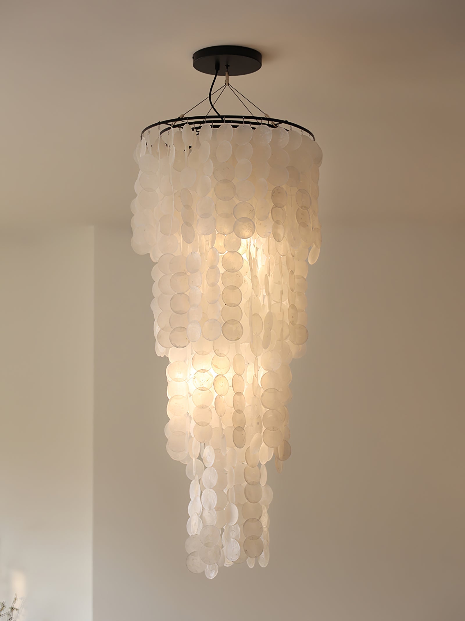 Modern Nerida Shell Chandelier additional product view