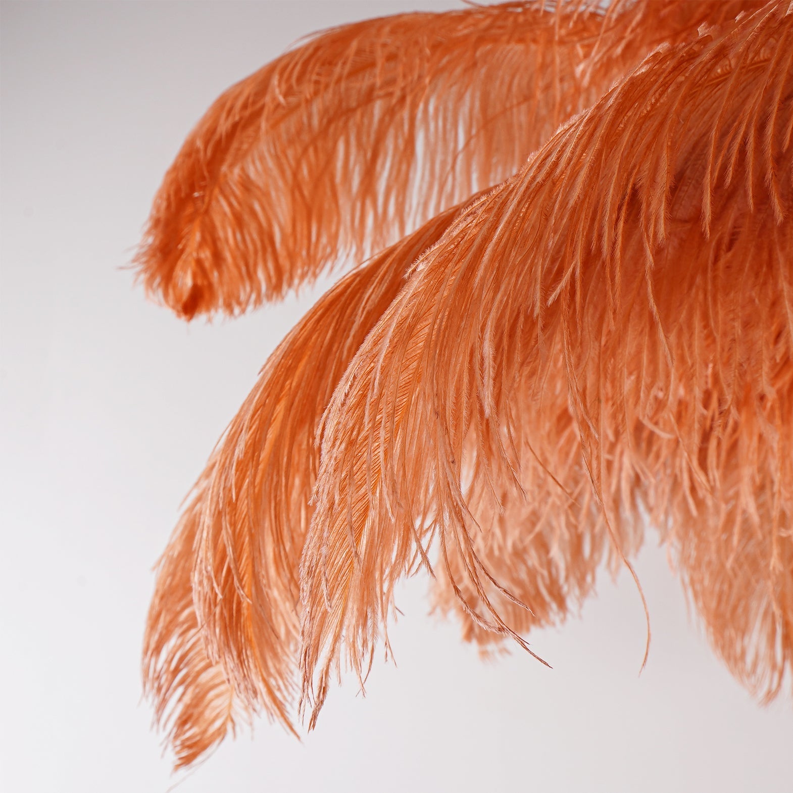 Ostrich Feather Brass Floor Lamp by Bling Lighting Studio