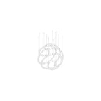 Pearl Drop Customize Chandelier
