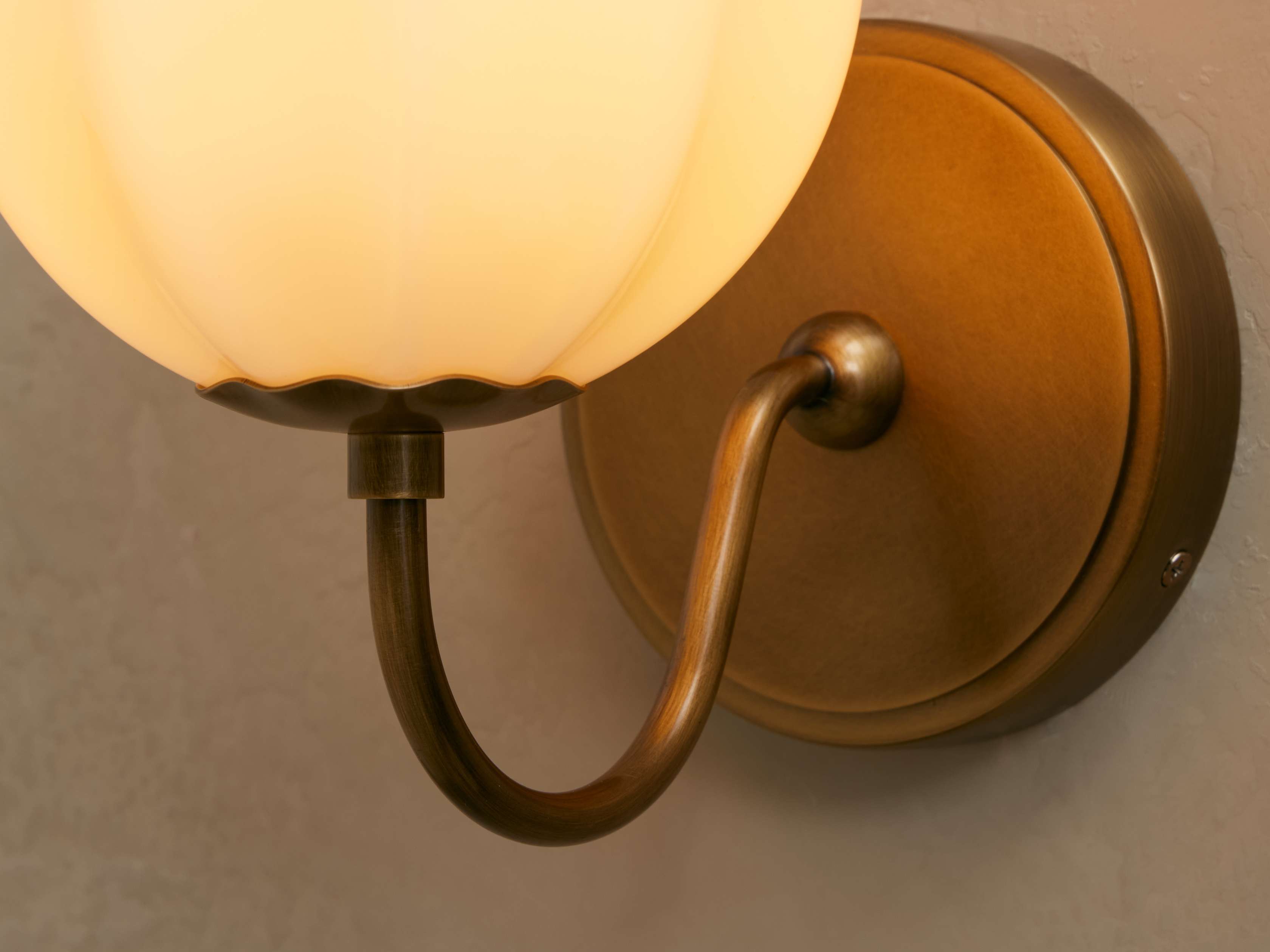 Agnes Gooseneck Sconce additional product view
