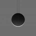 Cosmos Combination Pendant Light