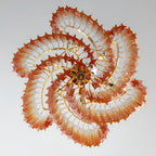 Exquisite Murano Prism Chandelier product image